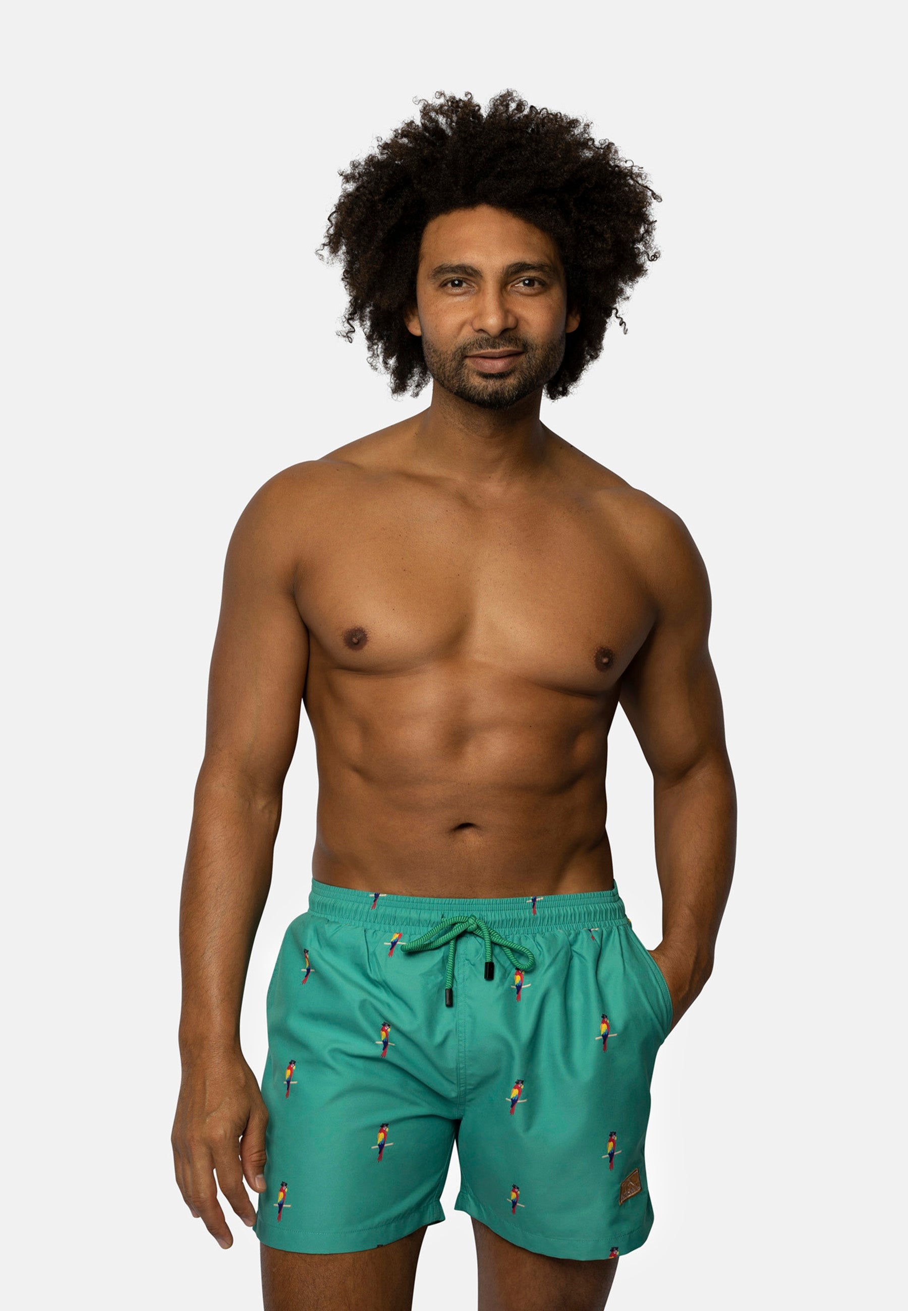 Parrot Father & Son Swim Trunks