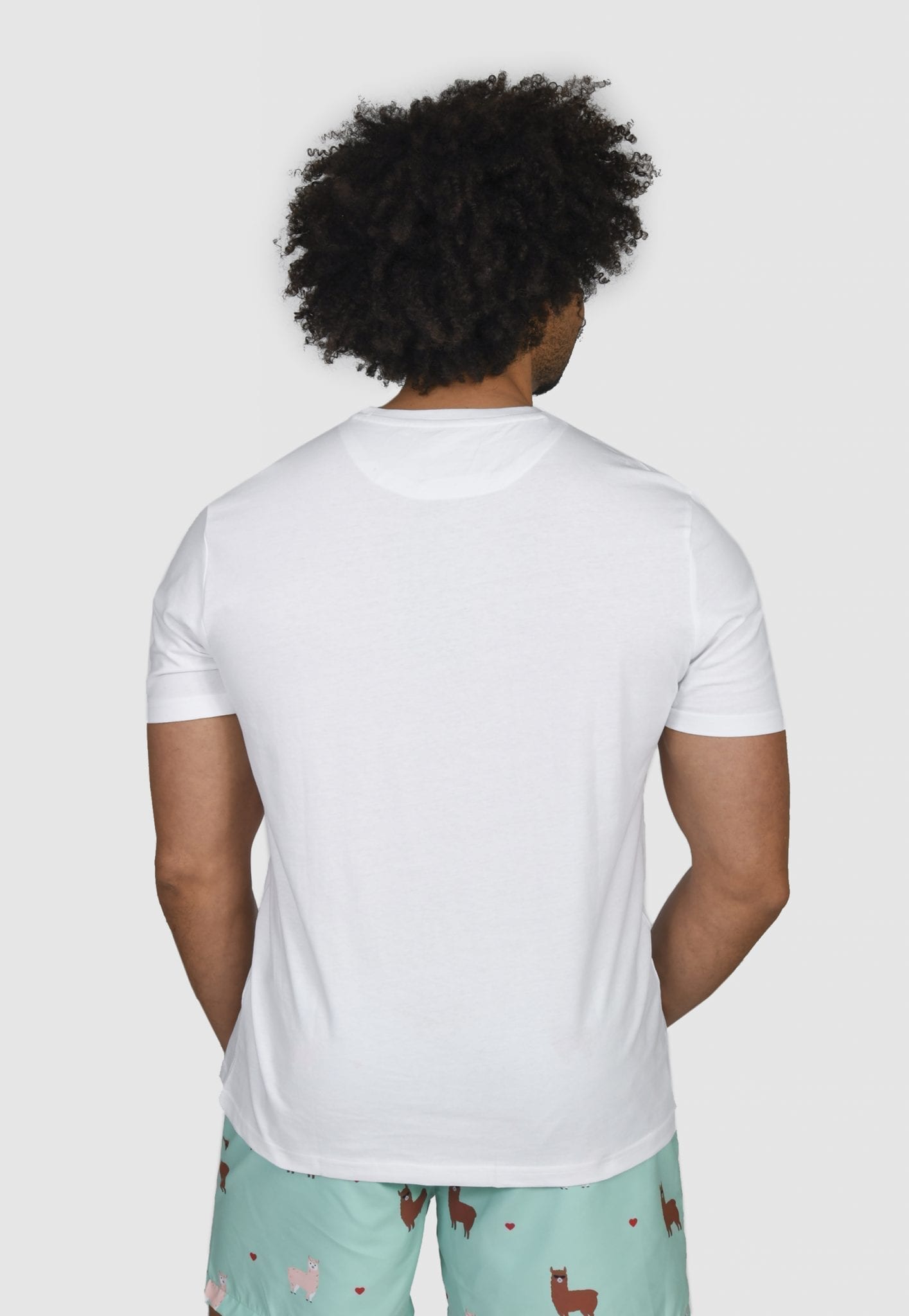 Alpaca T-shirt
