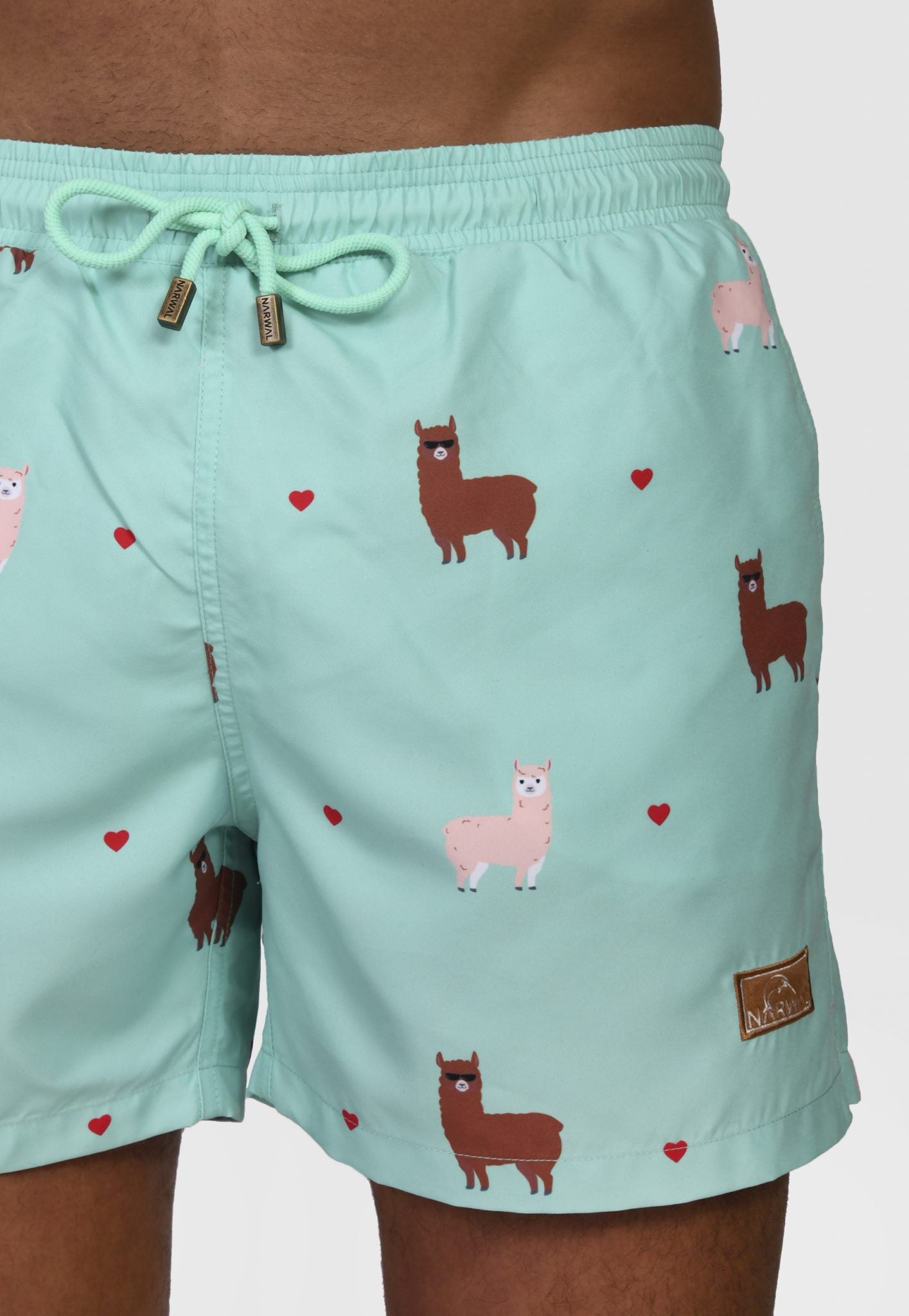 Alpaca Father & Son Swim Trunks