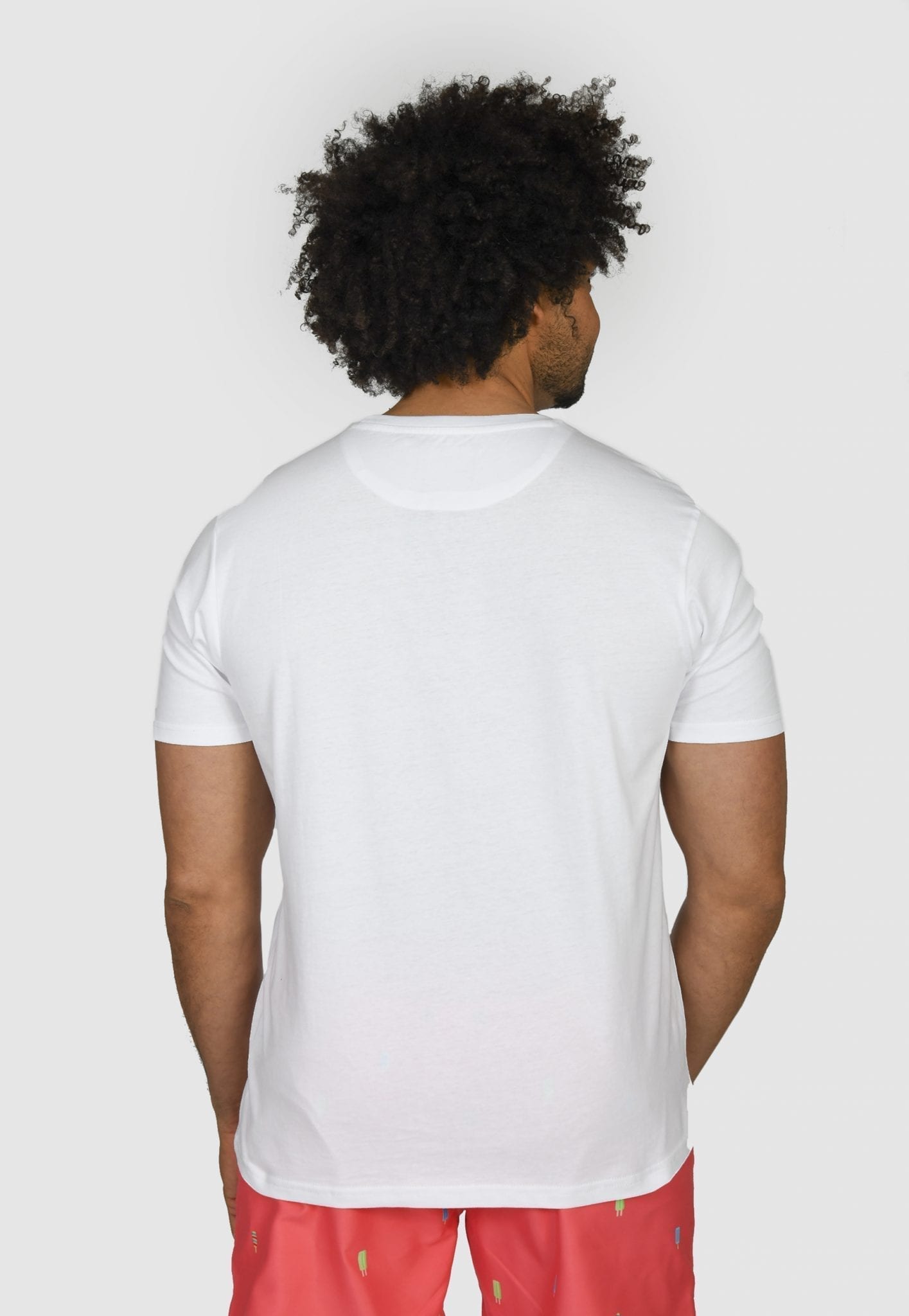 Popsicle T-shirt