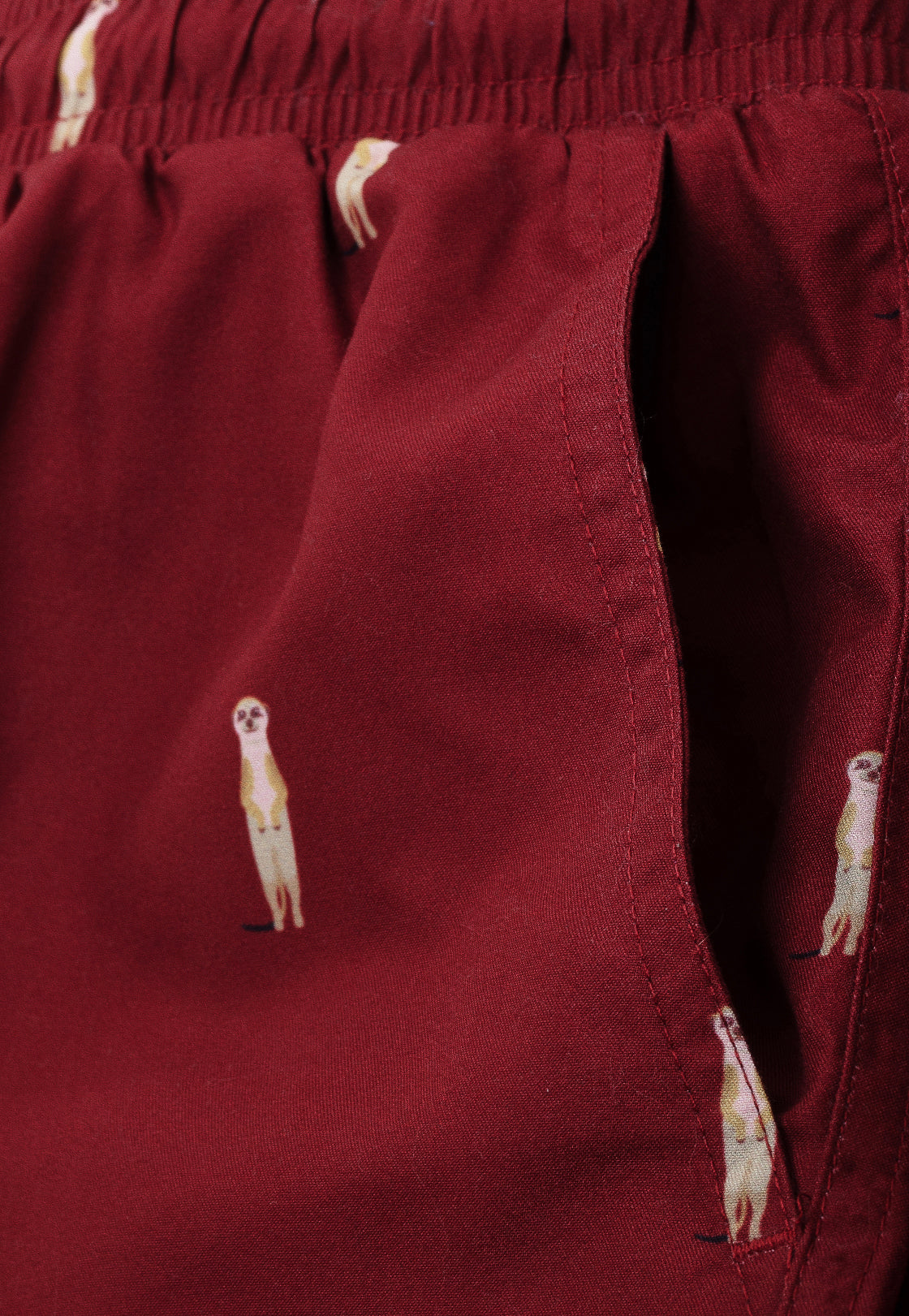 Meerkat Father & Son