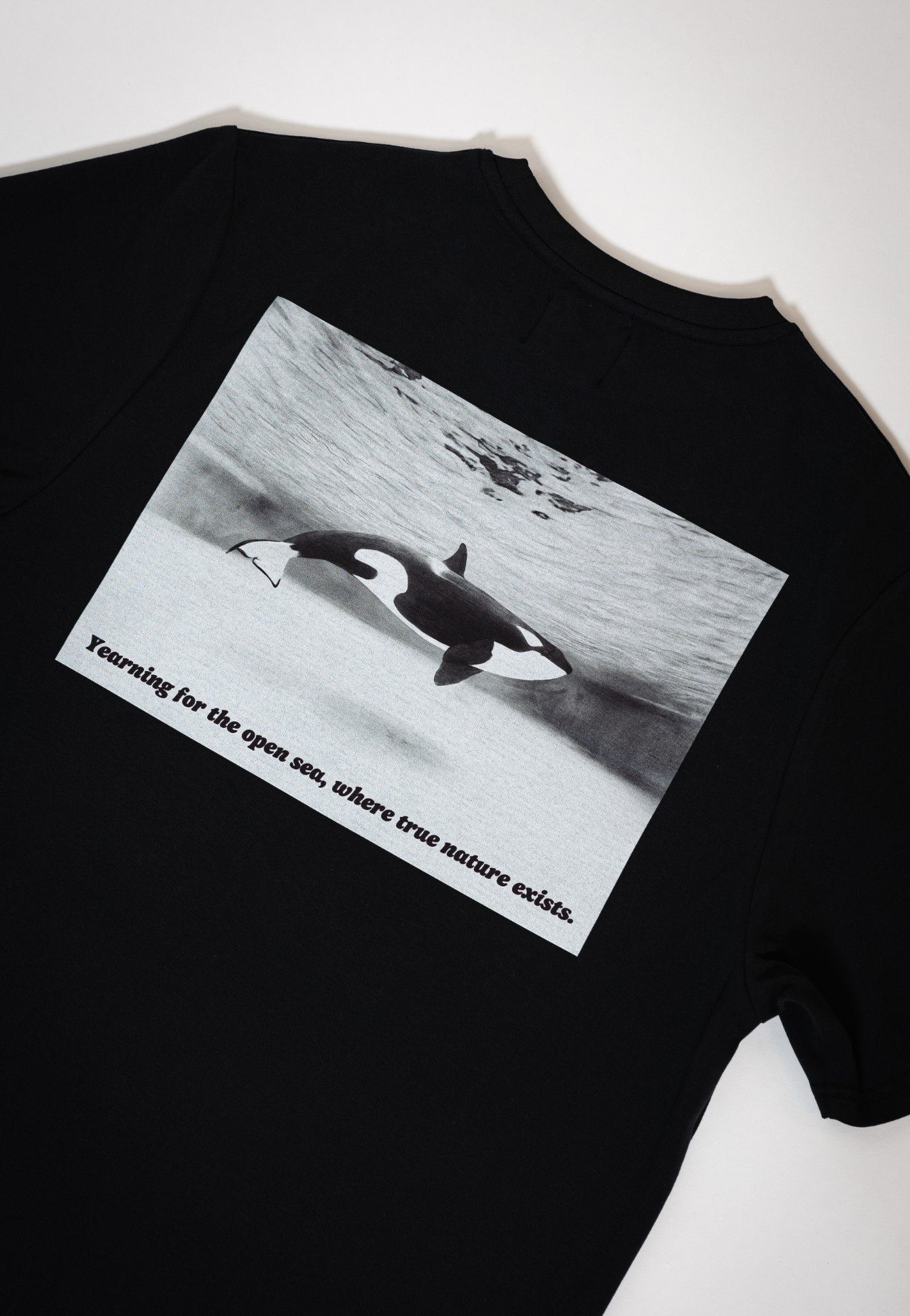 Orca - T-shirt