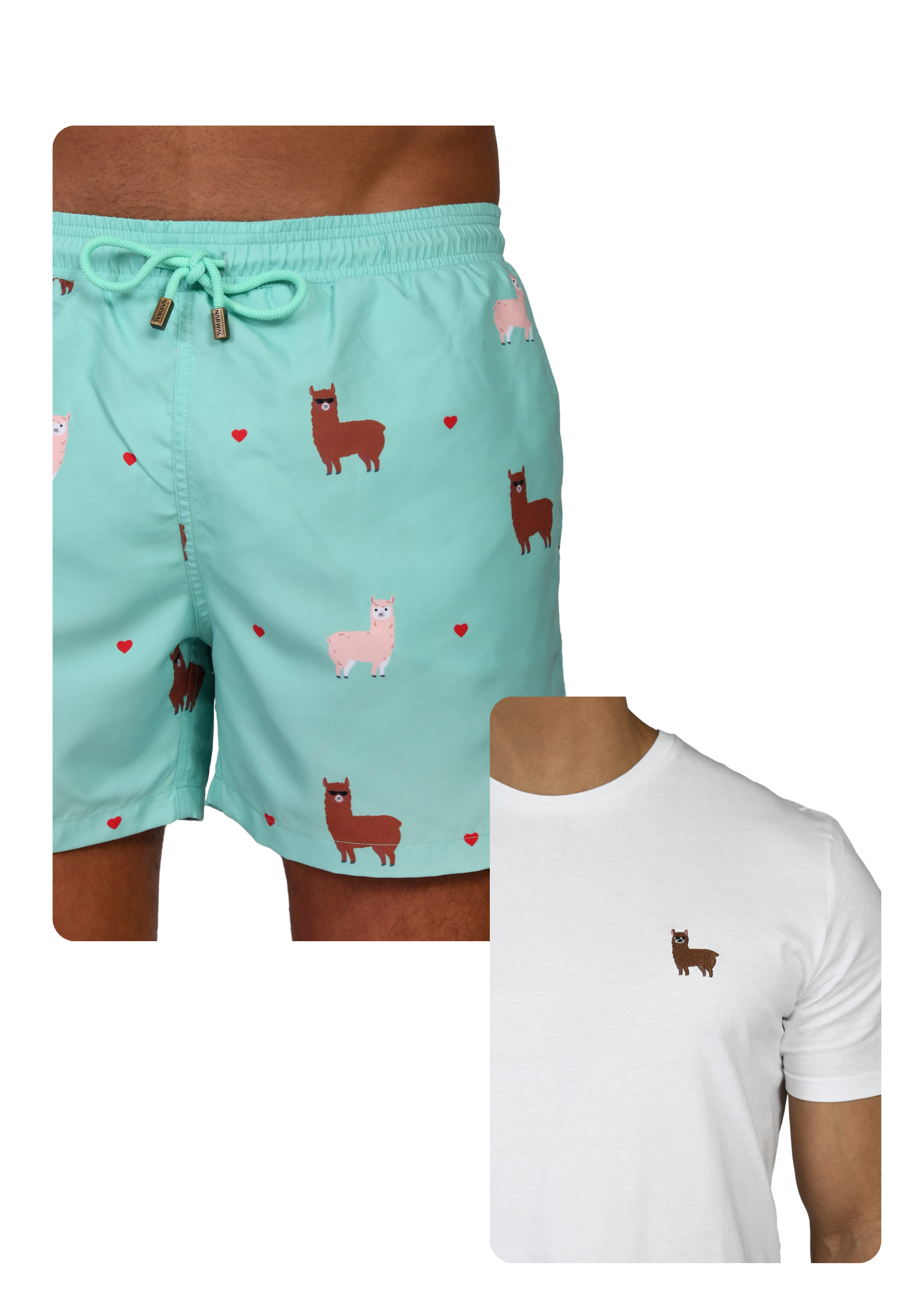 Alpaca Swim Trunks & T-shirt Bundle
