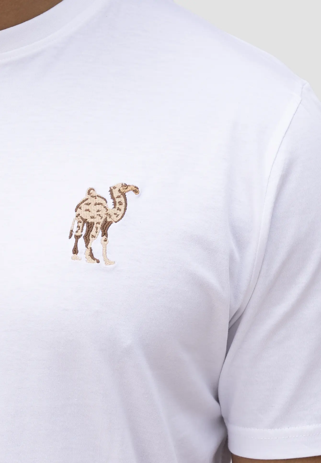Camel Swim Trunks and T-shirt Bundle