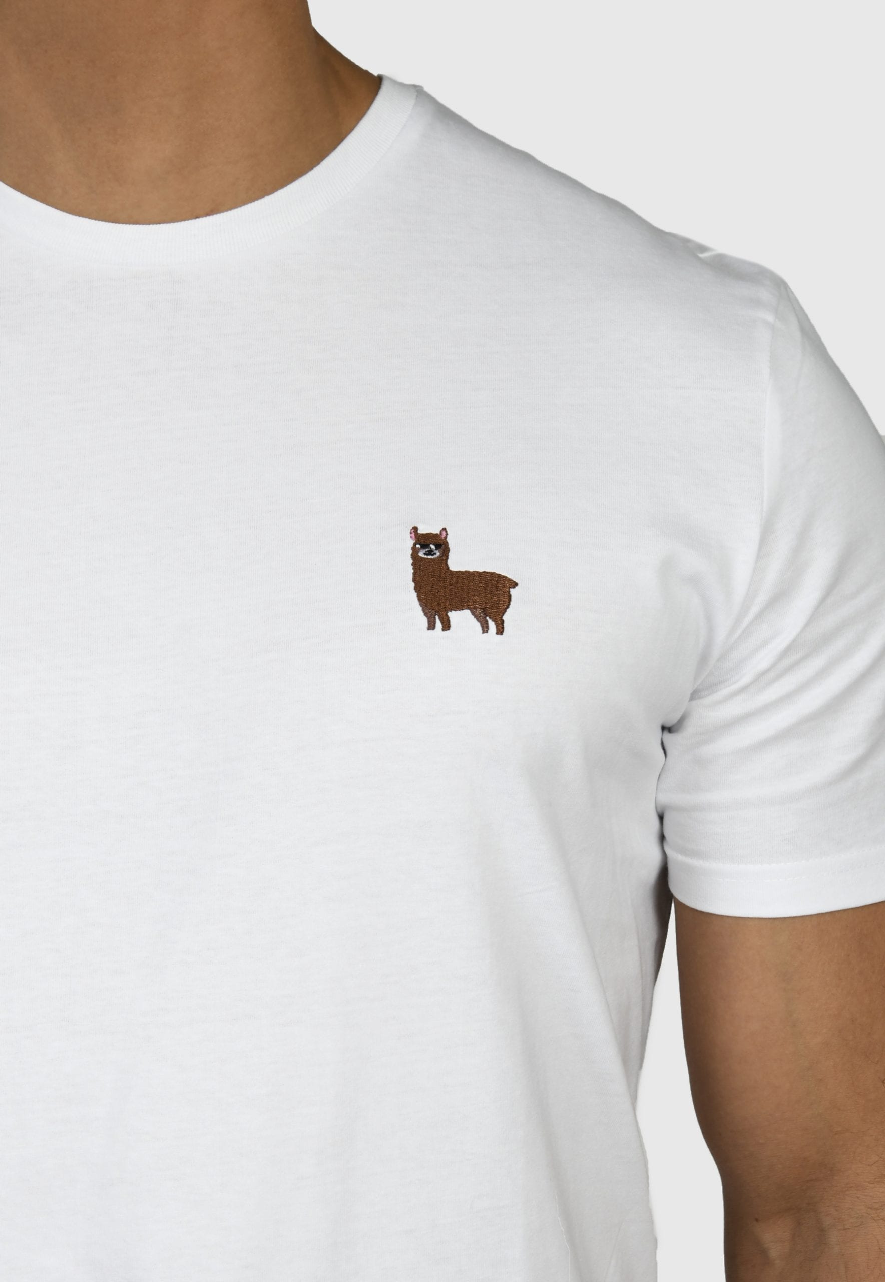 Alpaca-T-Shirt