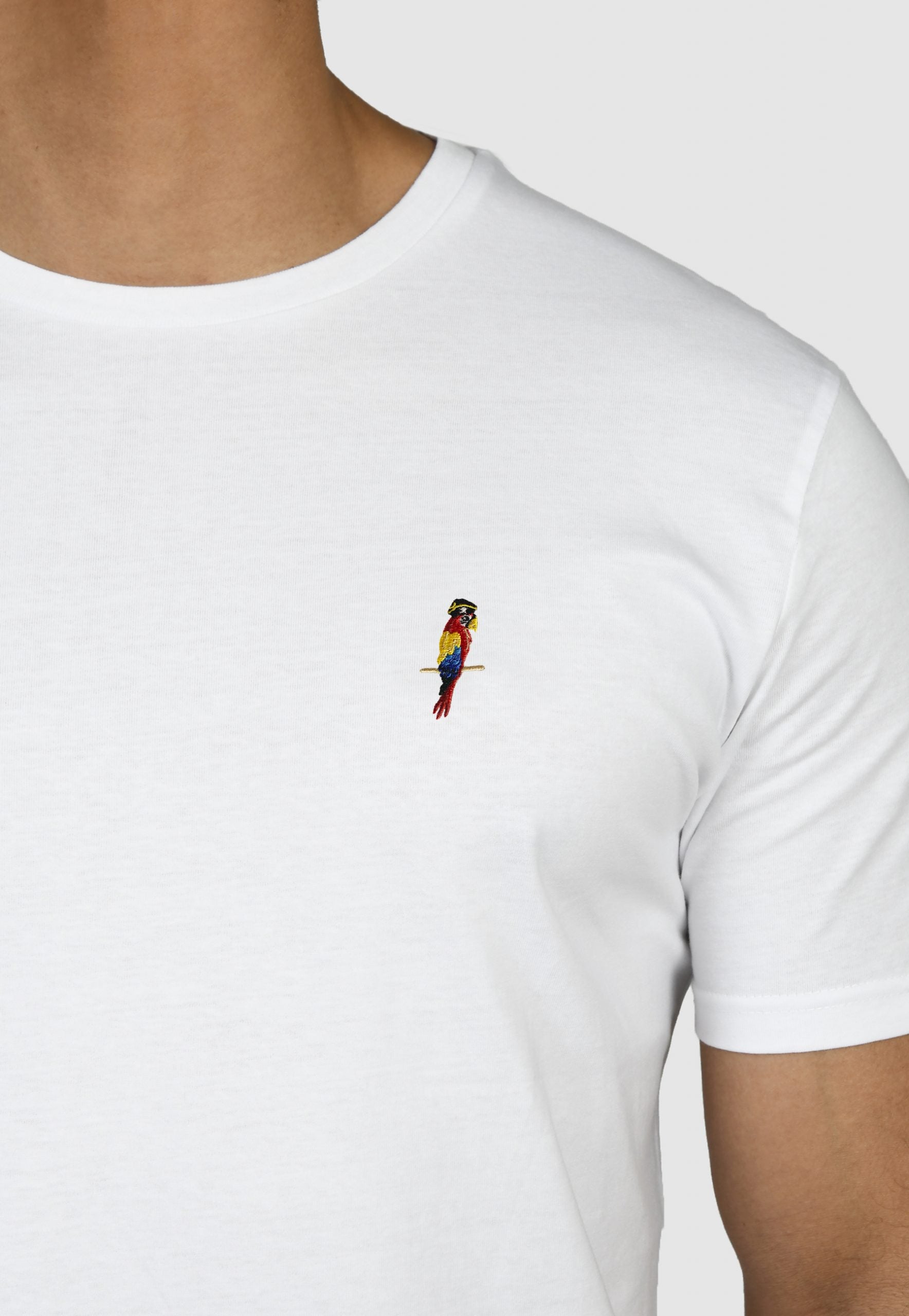 Parrot Swim Trunks and T-shirt Bundle